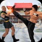 Kung fu fight karate offline games 2020: New games