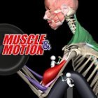 Силовые тренировки от Muscle & Motion