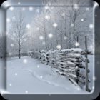 Зимний снег Live Wallpaper Pro
