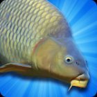 Carp Fishing Simulator - Pike, Perch & More