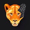 POLYGON : Coloring-Book∙ Poly Art by Numbers ?