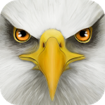 Ultimate Bird Simulator